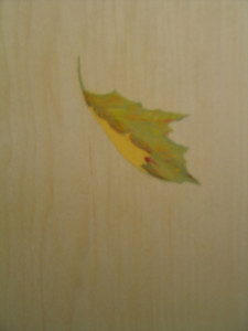 Detail of a painted leaf on the reverse side of the Art Nouveau screen.